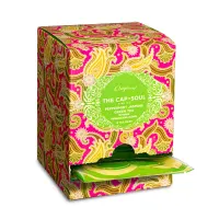 Pirámides Ensobradas de Té Verde Hierbabuena Jazmín